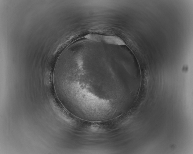 X0000113220641200909241449