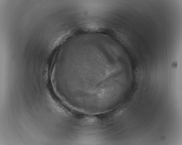 X0000113220642200909241449