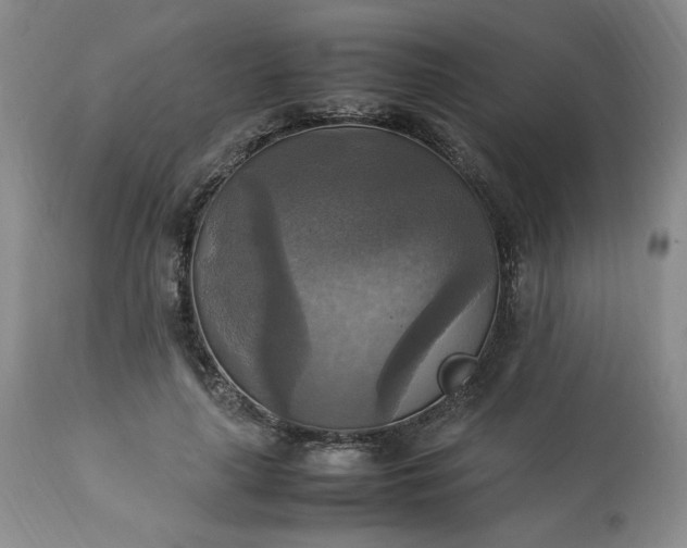 X0000113220643200909241449