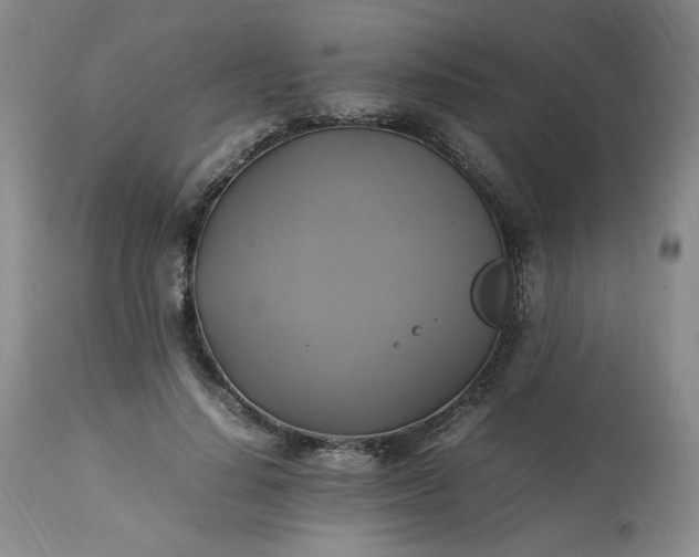 X0000113220644200909241449