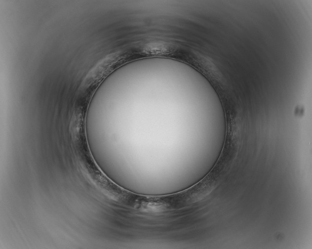 X0000113220645200909241449