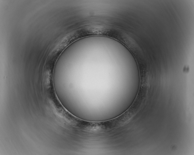 X0000113220646200909241449