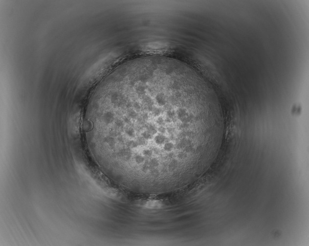 X0000113220647200909241449