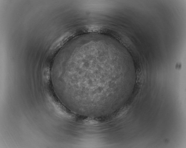 X0000113220648200909241449