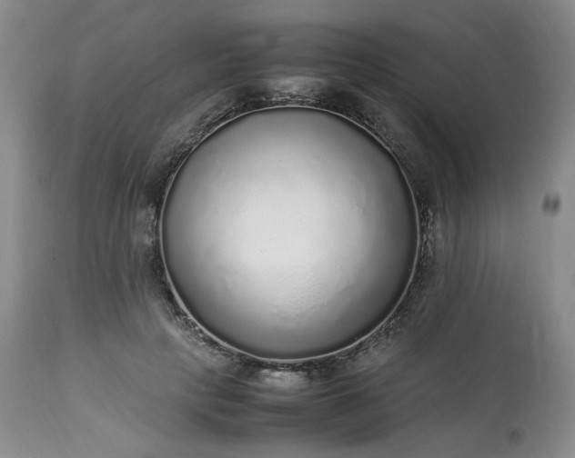 X0000113220649200909241449