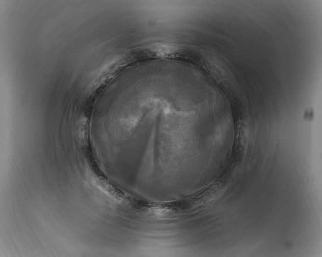 X0000113220650200909241449