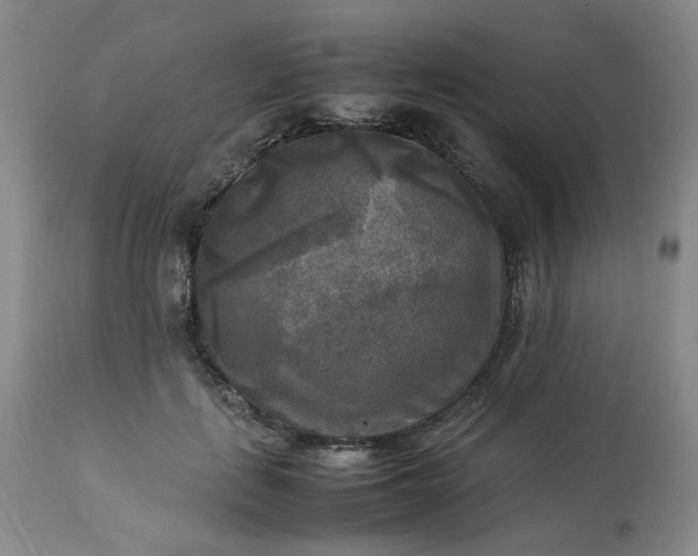 X0000113220651200909241449