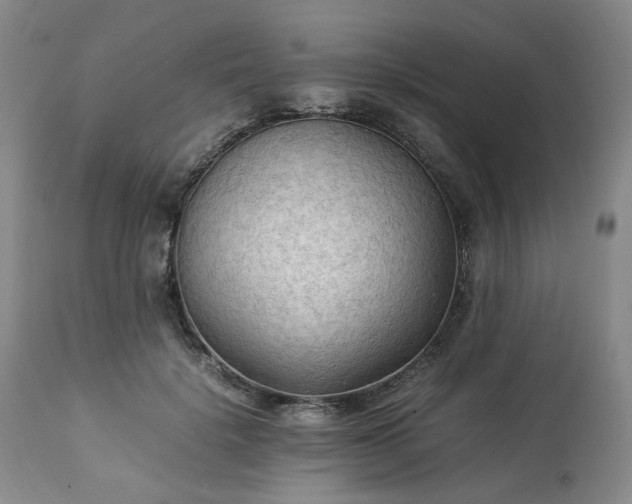 X0000113220652200909241449