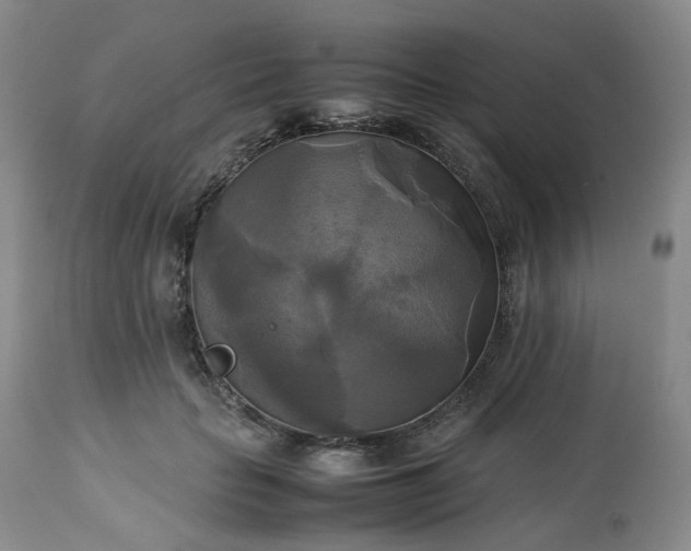 X0000113220653200909241449