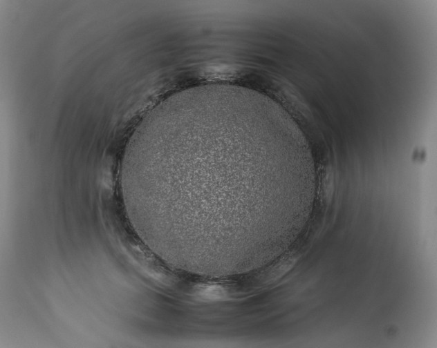 X0000113220655200909241449