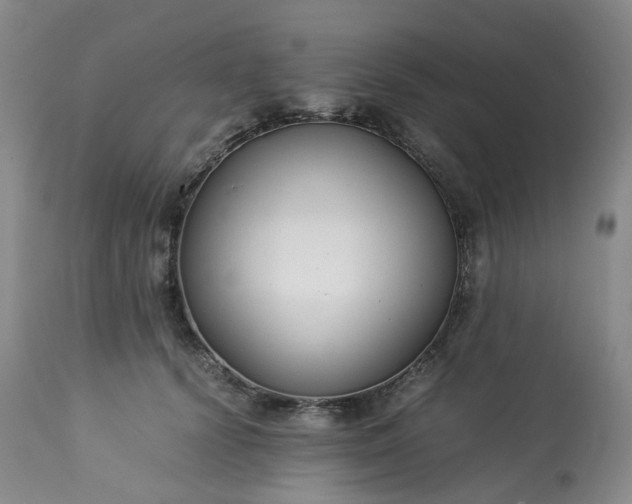 X0000113220656200909241449