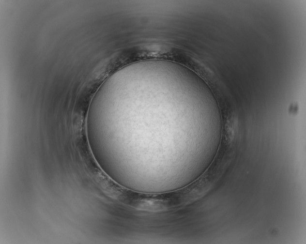 X0000113220657200909241449