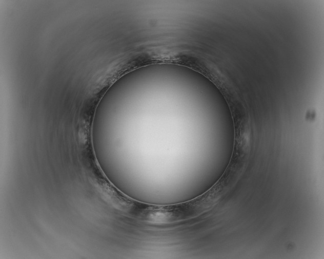 X0000113220658200909241449