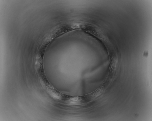 X0000113220659200909241449