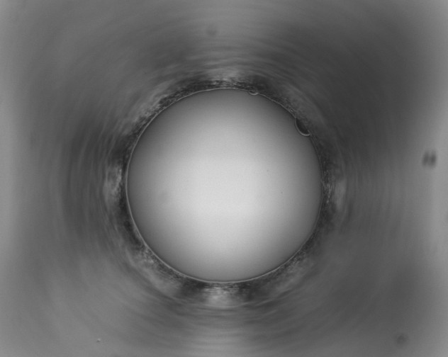 X0000113220660200909241449