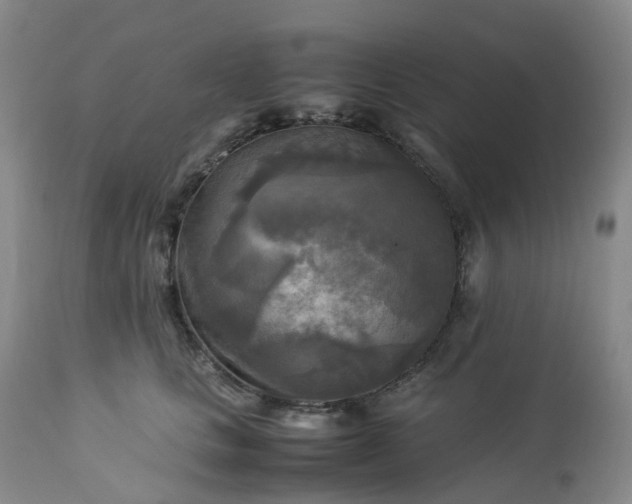 X0000113220661200909241449