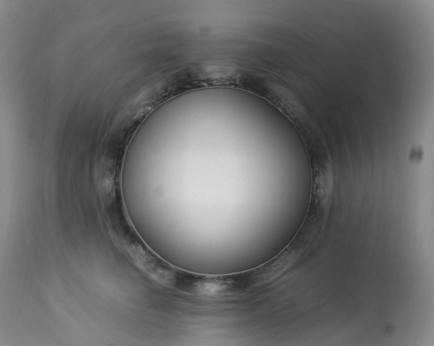 X0000113220662200909241449