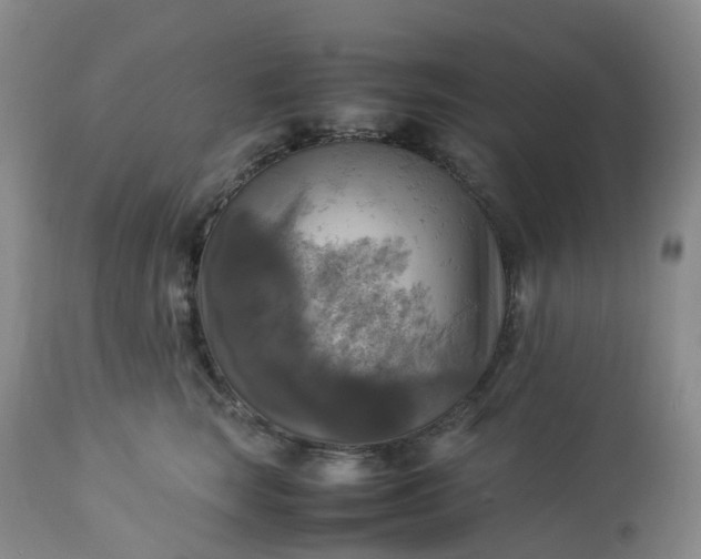 X0000113220663200909241449