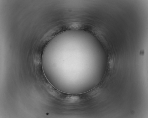 X0000113220665200909241449