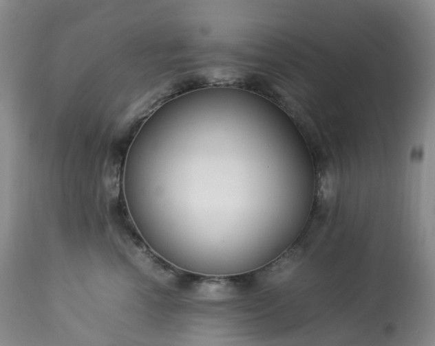 X0000113220666200909241449