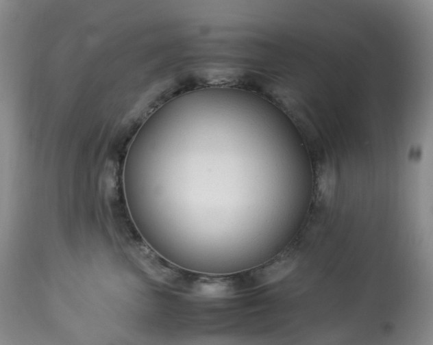 X0000113220667200909241449