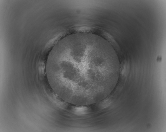 X0000113220669200909241449