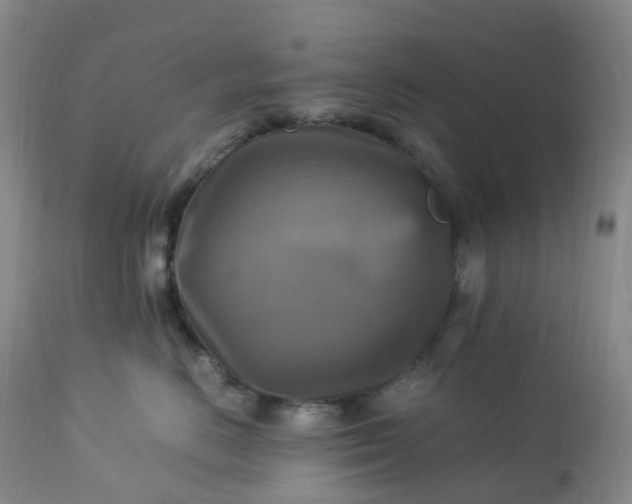 X0000113220670200909241449