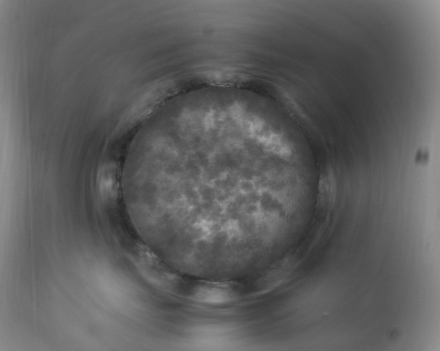 X0000113220671200909241449