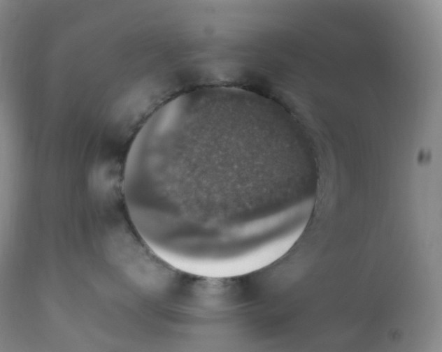 X0000113220672200909241449