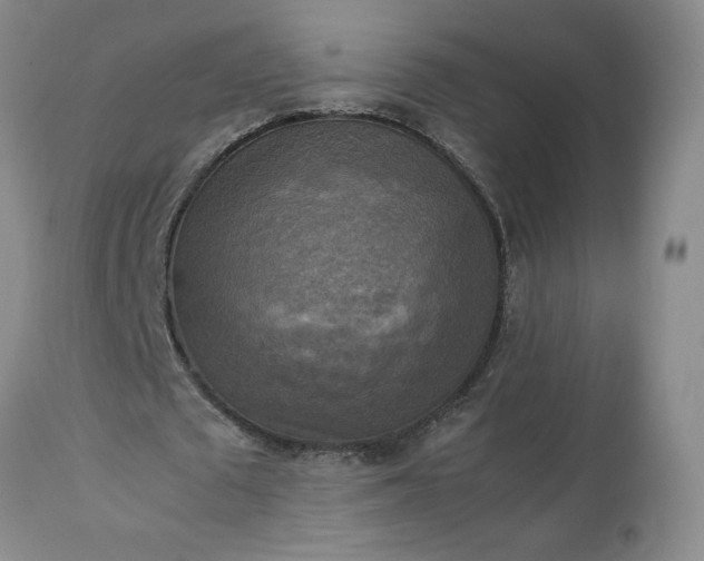 X0000113220673200909241449