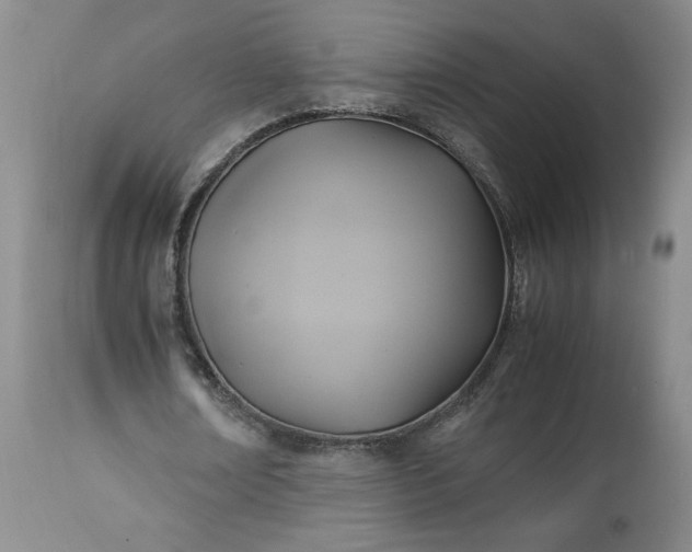 X0000113220674200909241449