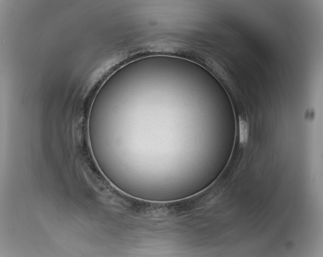 X0000113220675200909241449