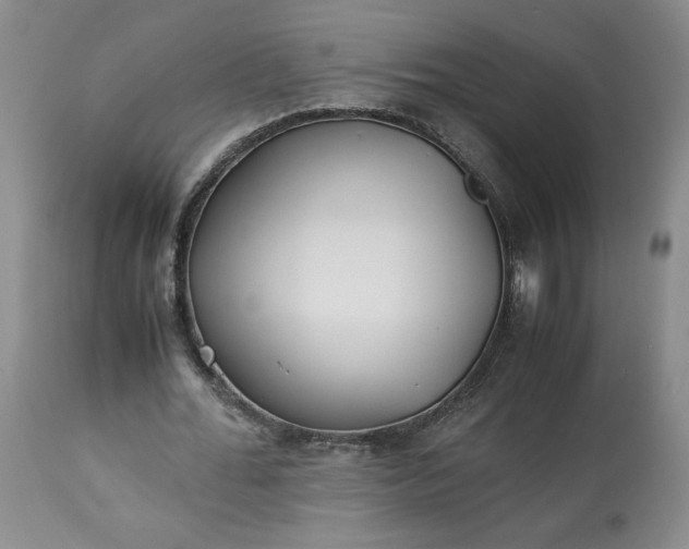 X0000113220676200909241449