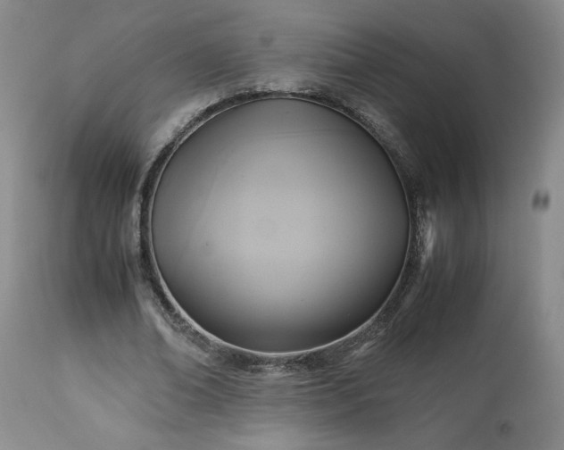 X0000113220678200909241449