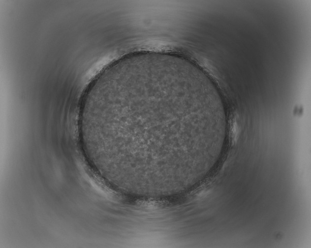 X0000113220679200909241449