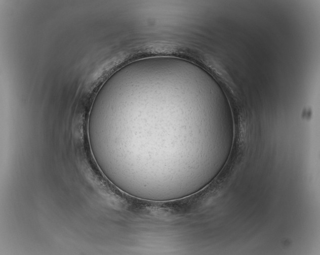 X0000113220681200909241449