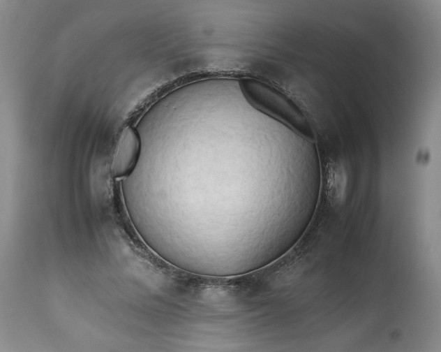 X0000113220684200909241449