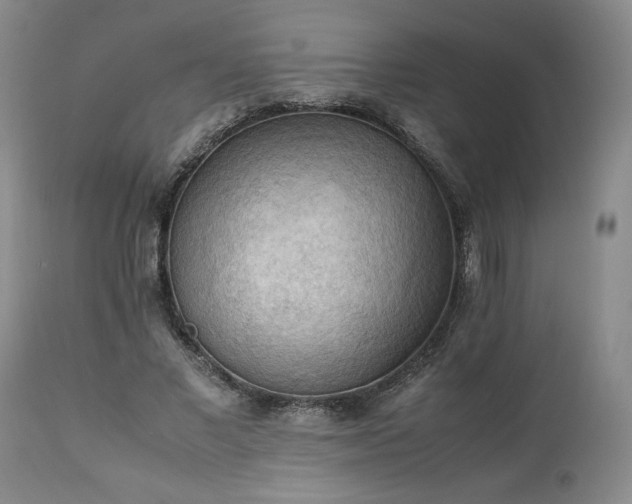 X0000113220685200909241449