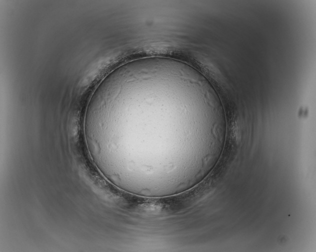 X0000113220687200909241449