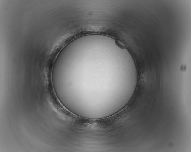 X0000113220688200909241449