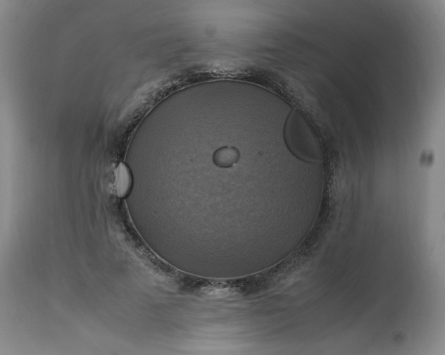 X0000113220689200909241449