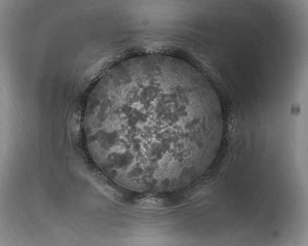 X0000113220691200909241449