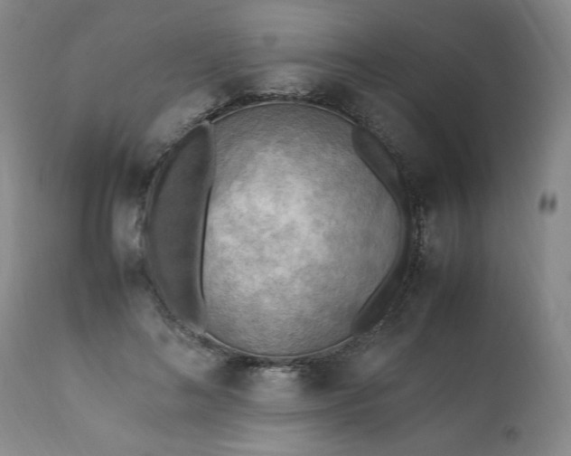 X0000113220692200909241448