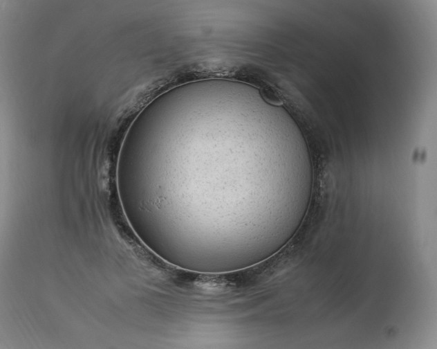 X0000113220693200909241448