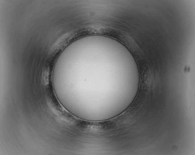 X0000113220694200909241448