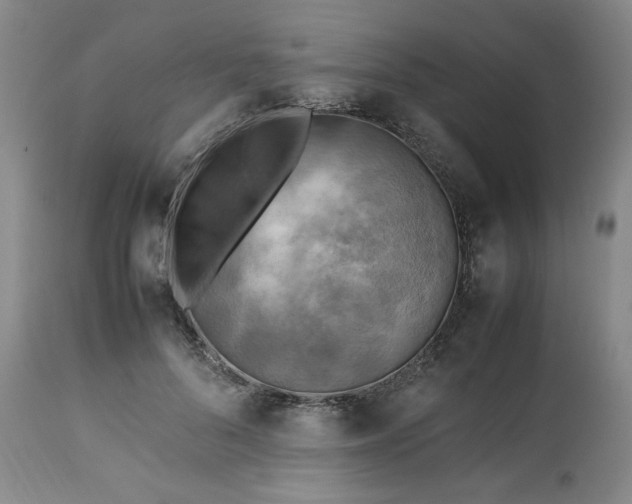 X0000113220696200909241448