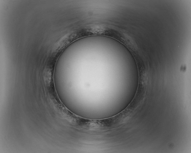 X0000113220697200909241448