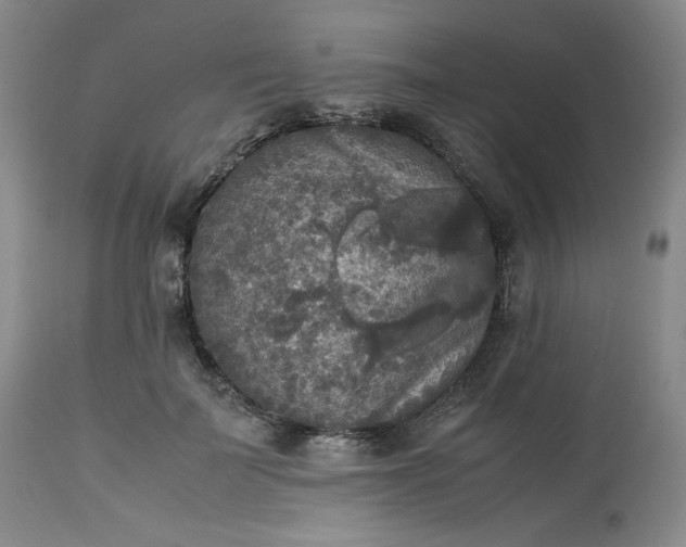 X0000113220699200909241448