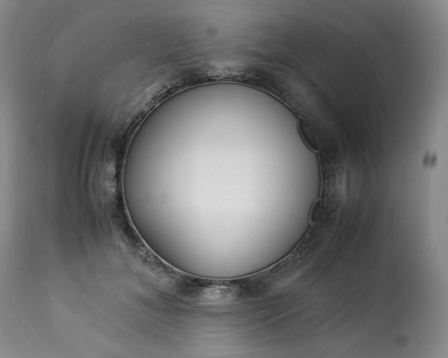 X0000113220700200909241448