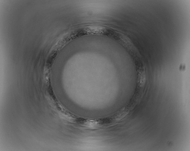 X0000113220701200909241448